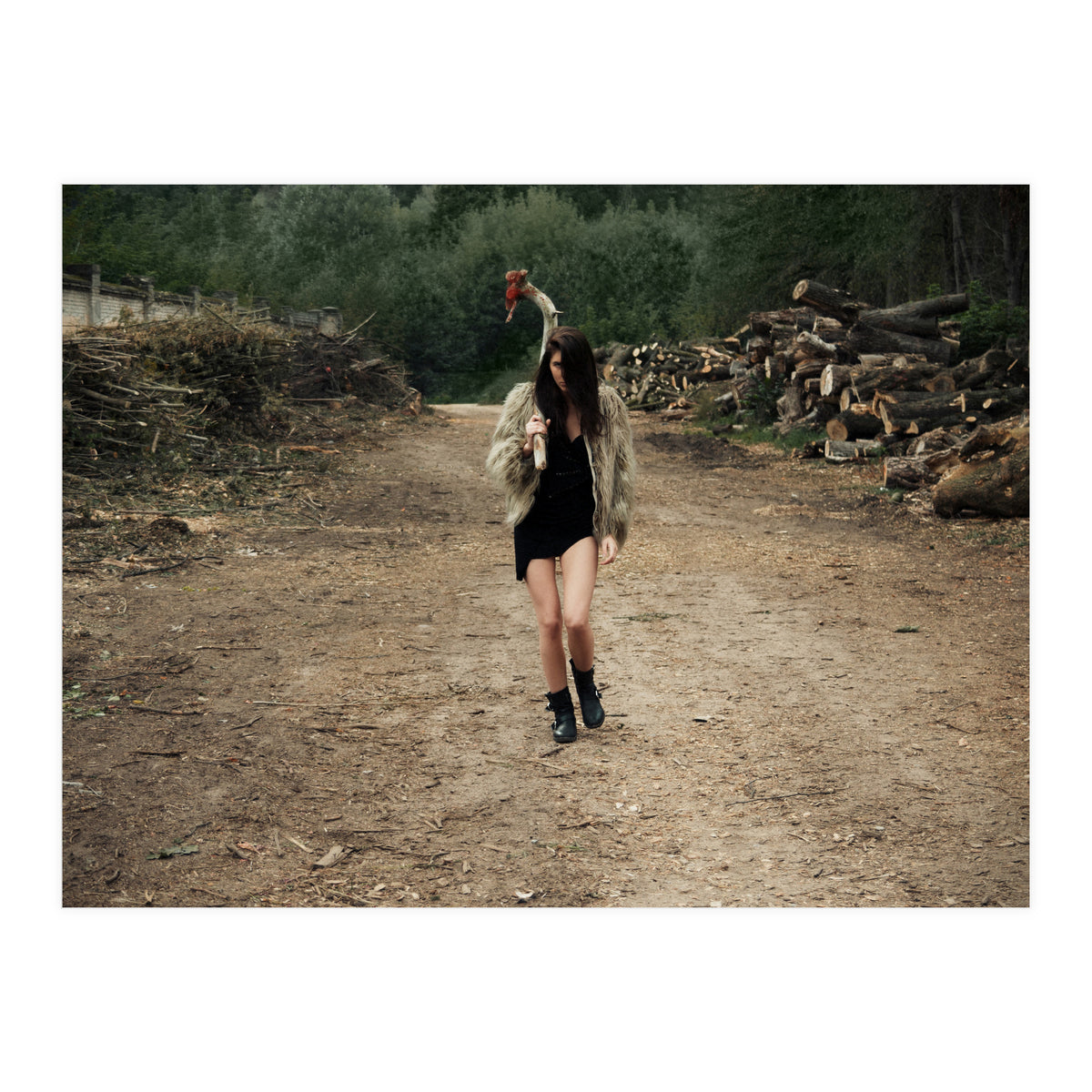 Primitive Tools (Print Only)