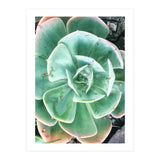 68 (Print Only) thumbnail