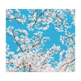 White Blossom (Print Only) thumbnail