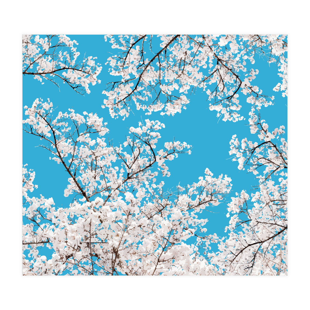 White Blossom (Print Only)