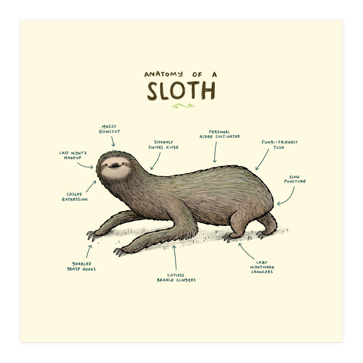 Anatomy Of A Sloth (Print Only)