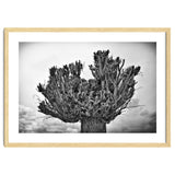 Cut down tree top thumbnail