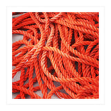 Orange ropes (Print Only) thumbnail