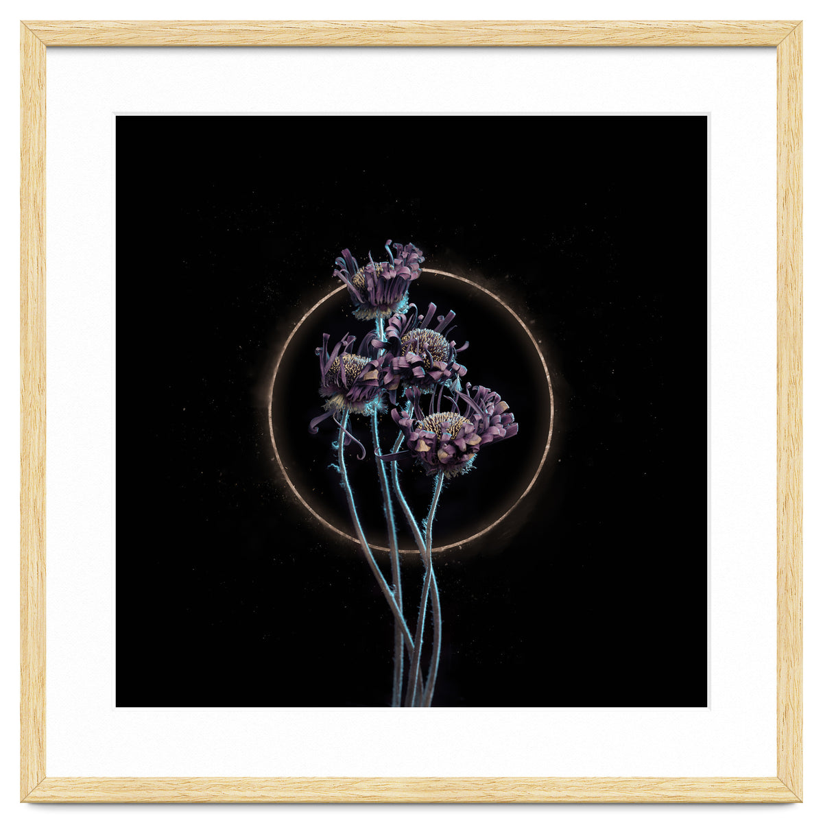 Candy-Coloured Mystery