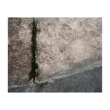 Urban #1 (Print Only) thumbnail