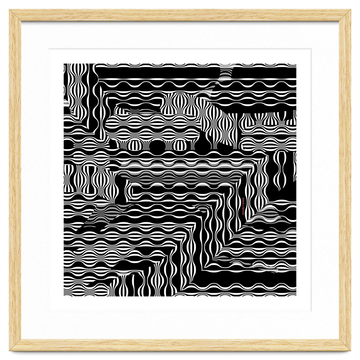 BLACK AND WHITE EXOTIC