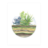 A Little Green Terrarium (Print Only) thumbnail