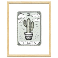 The Cactus
