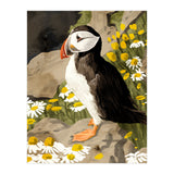 Puffin (Print Only) thumbnail