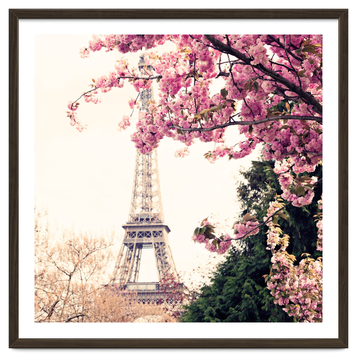 Paris in the Spring