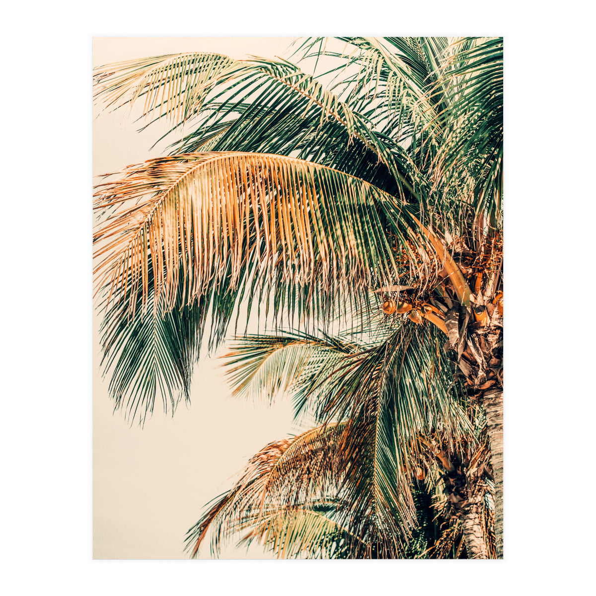 Tropic Summer  (Print Only)