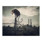 Bicho volador (Print Only) thumbnail