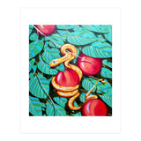 Eden (Print Only) thumbnail