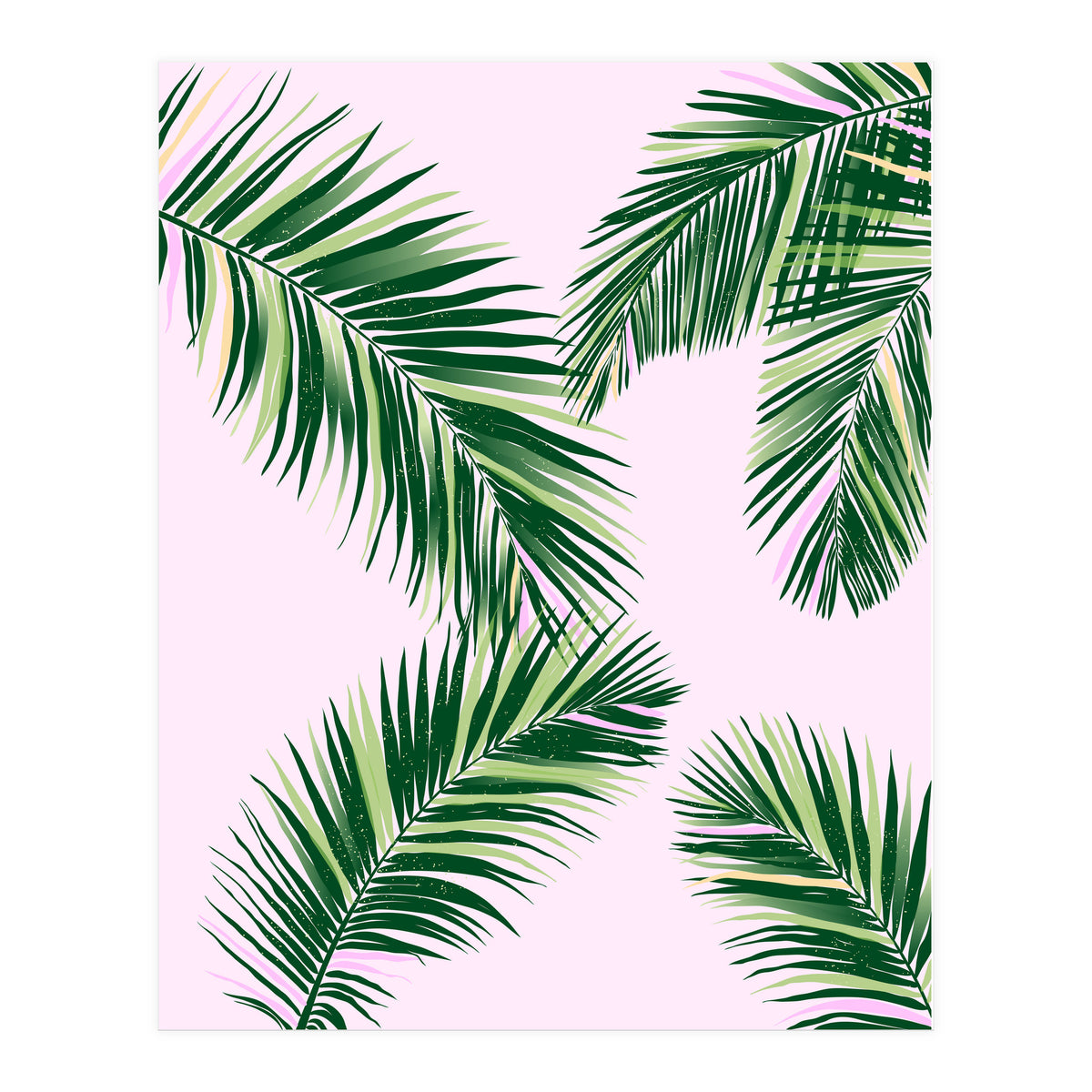 Palmfrond (Print Only)