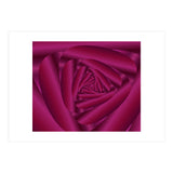 Pink Color Rose Swirl Art (Print Only) thumbnail