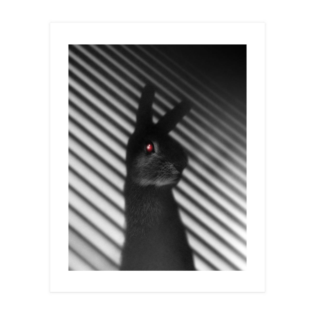Shadow Bunny (Print Only)