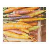 Carrots (Print Only) thumbnail