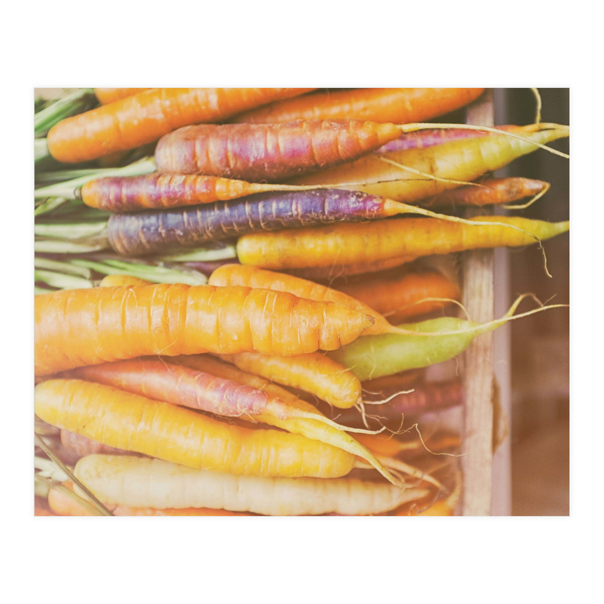 Carrots (Print Only)