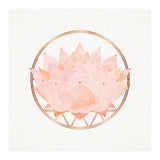 Peach Succulent  Blossom (Print Only) thumbnail