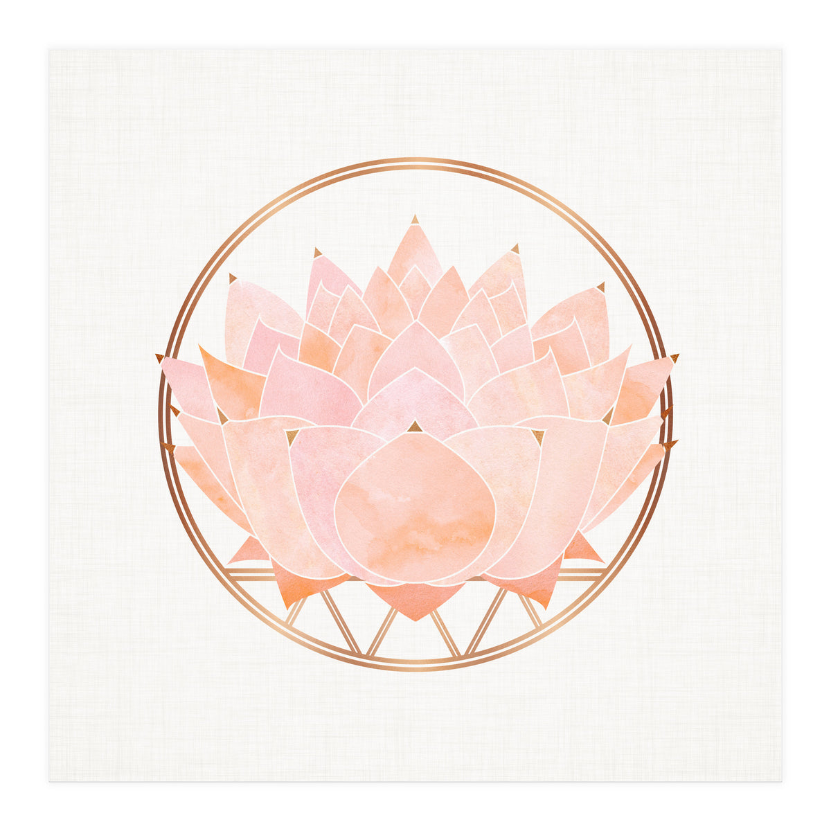 Peach Succulent  Blossom (Print Only)