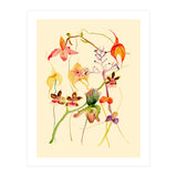 Orchids #1 (Print Only) thumbnail