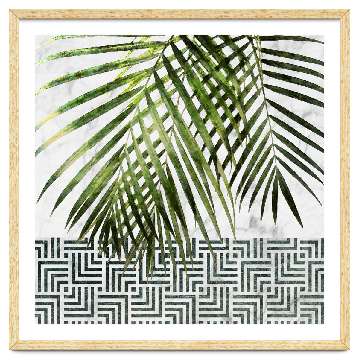Palm Leaves On White Marble And Tiles