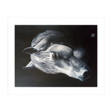 The Grey Horse (Print Only) thumbnail