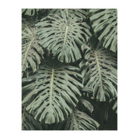 MONSTERA LEAVES (Print Only)