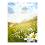 Nature (Print Only) thumbnail