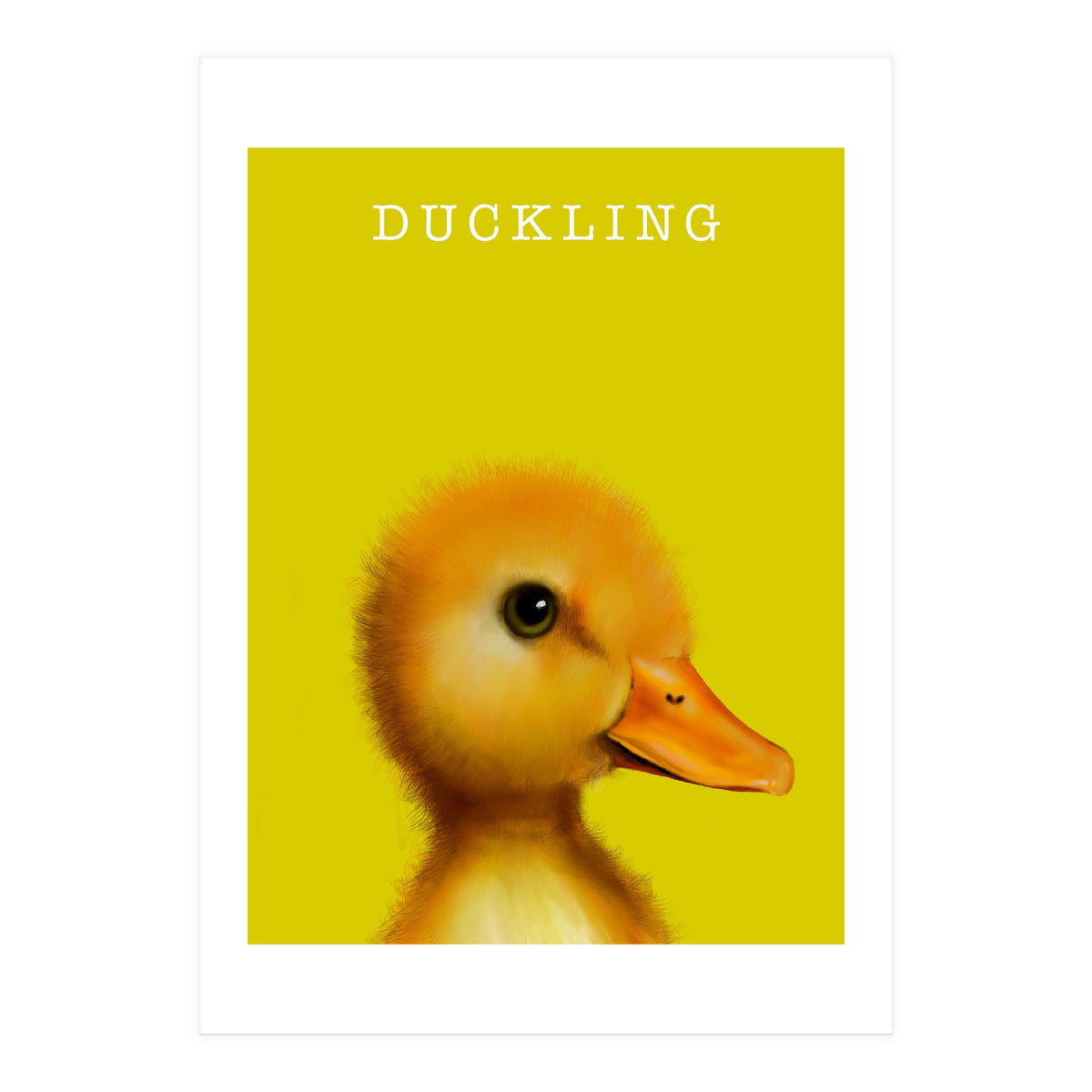 Duckling (Print Only)