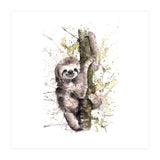 Sloth - Wildlife Collection (Print Only) thumbnail