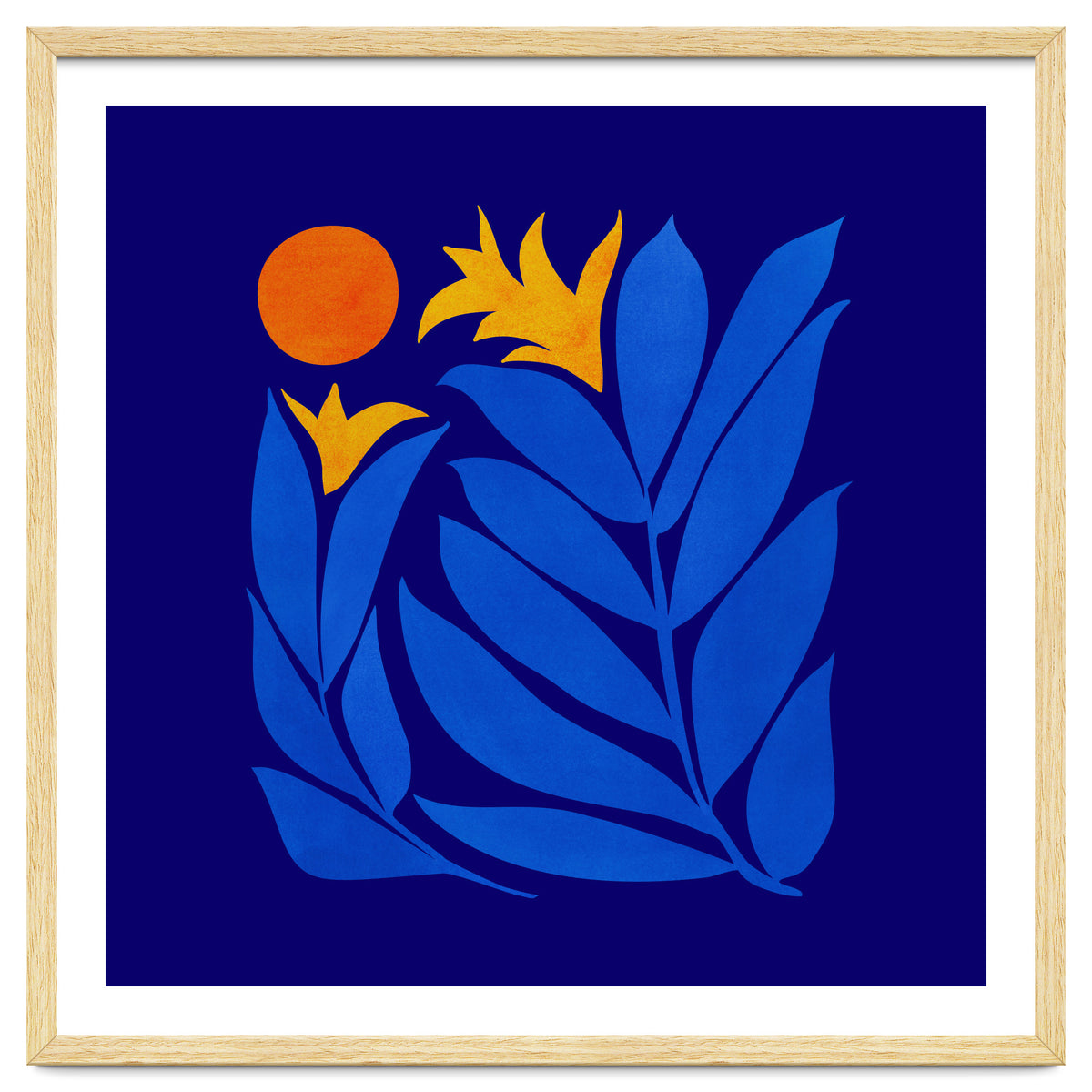 Community Garden At Night