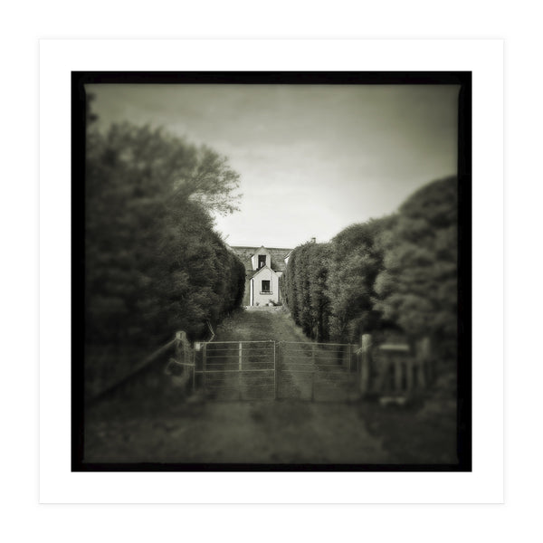 Waterstein 3 (Print Only)