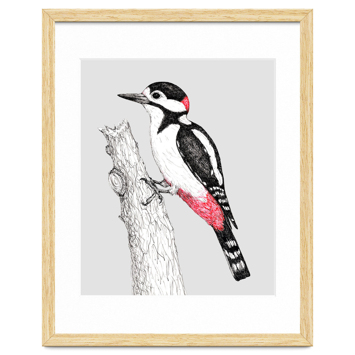 Great spotted woodpecker