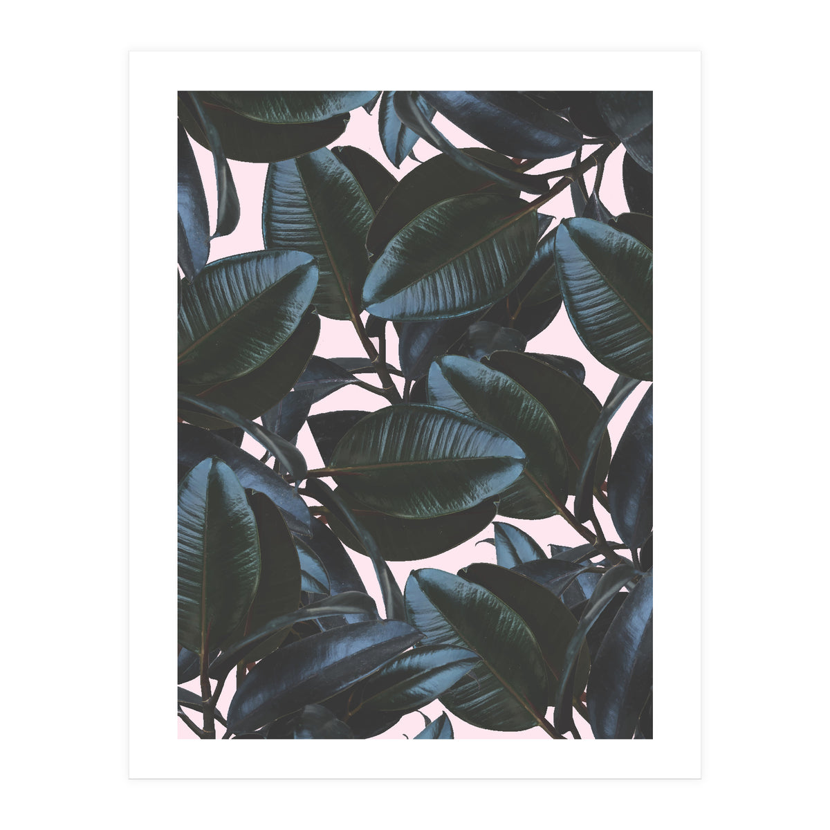 Charming Impression (Print Only)