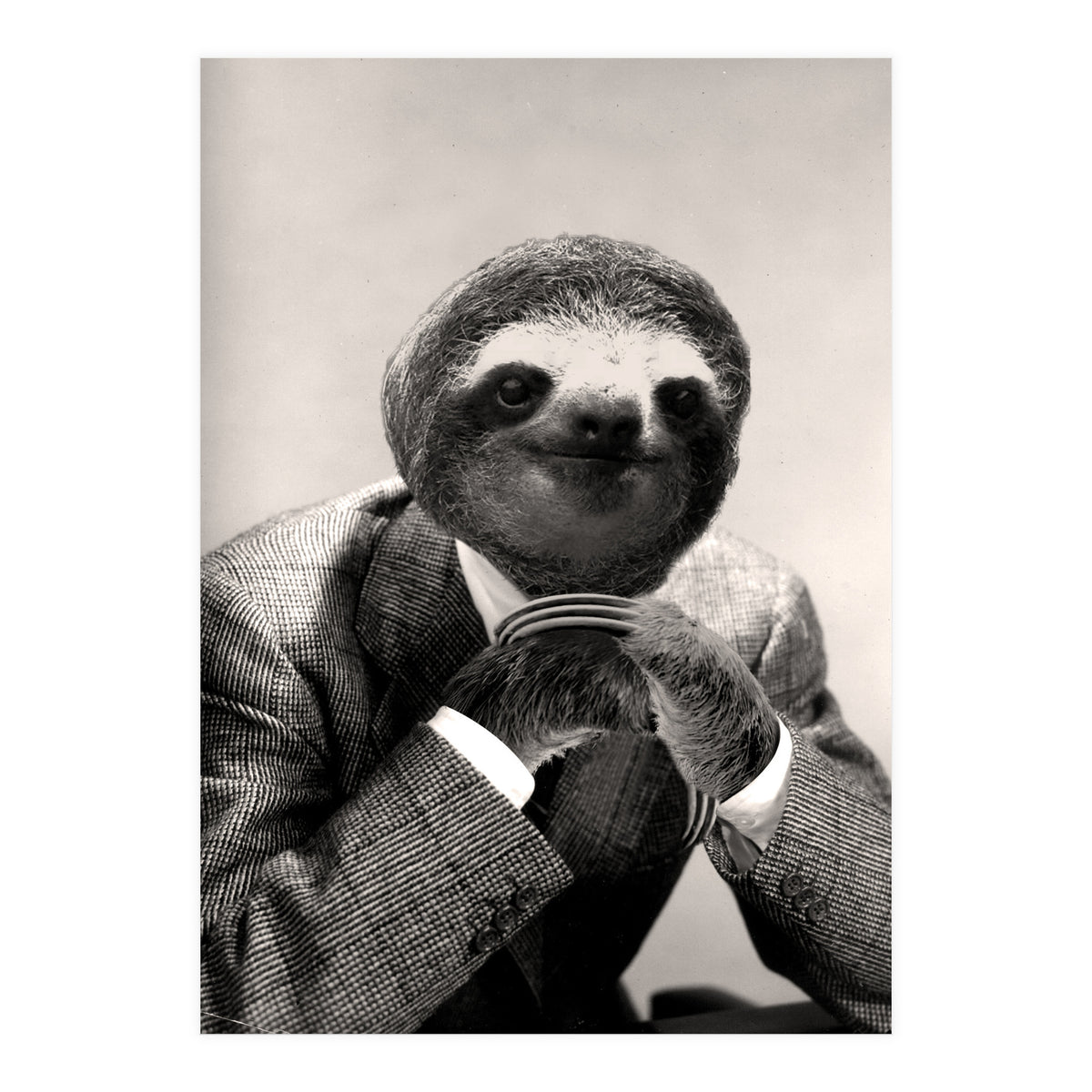 Gentleman Sloth 3 (Print Only)