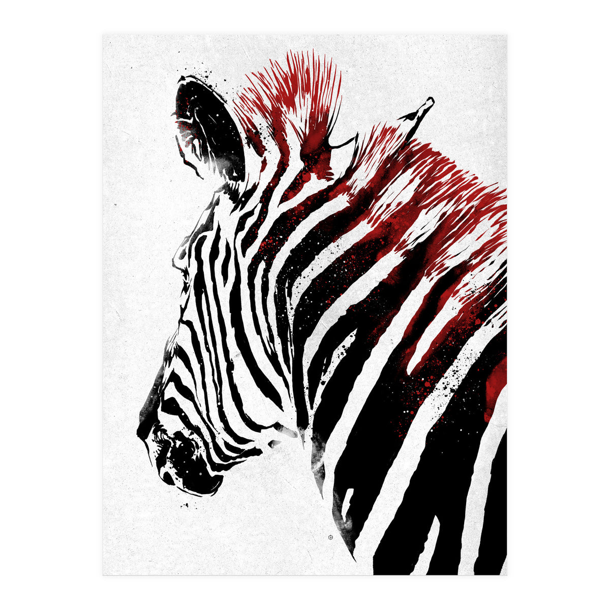 Zebra (Print Only)