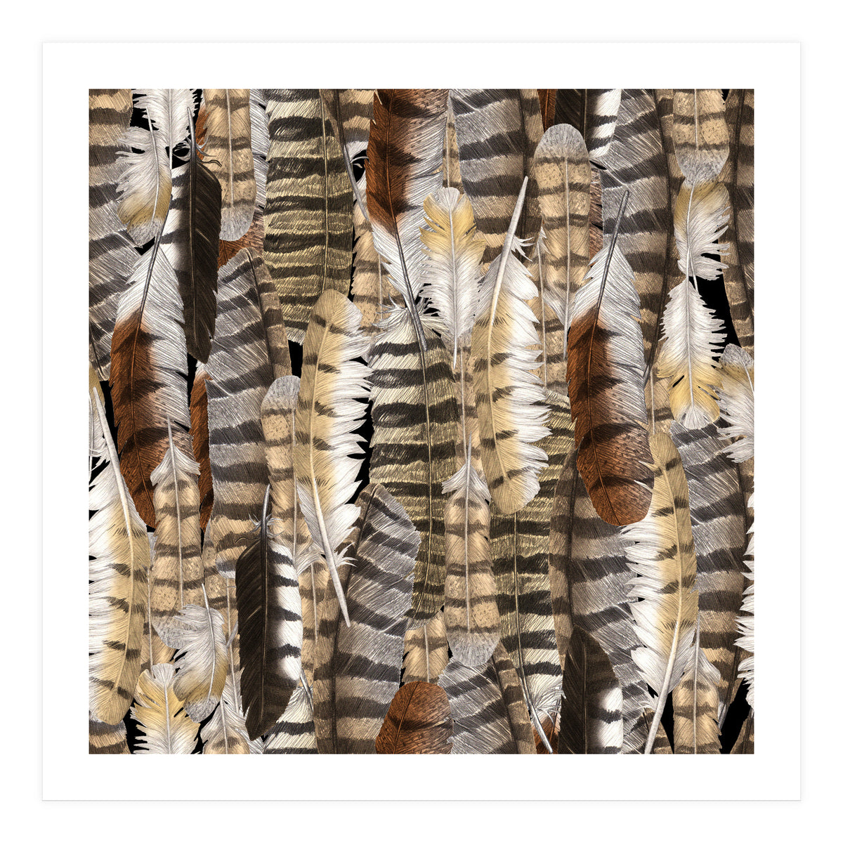 Owl Feathers (Print Only)