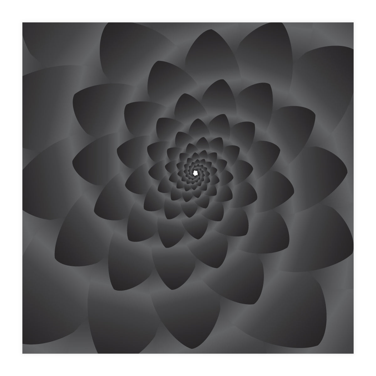 3 D Modern Black Floral (Print Only)