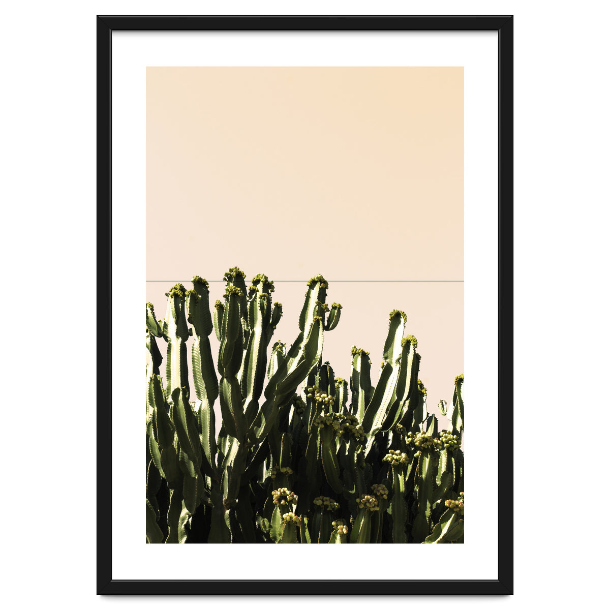 Cactus Vertical Color