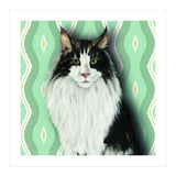 Cat 7: Django (Print Only) thumbnail