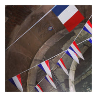 french flags (Print Only)