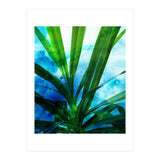 Remixed Spirit V1 (Print Only) thumbnail