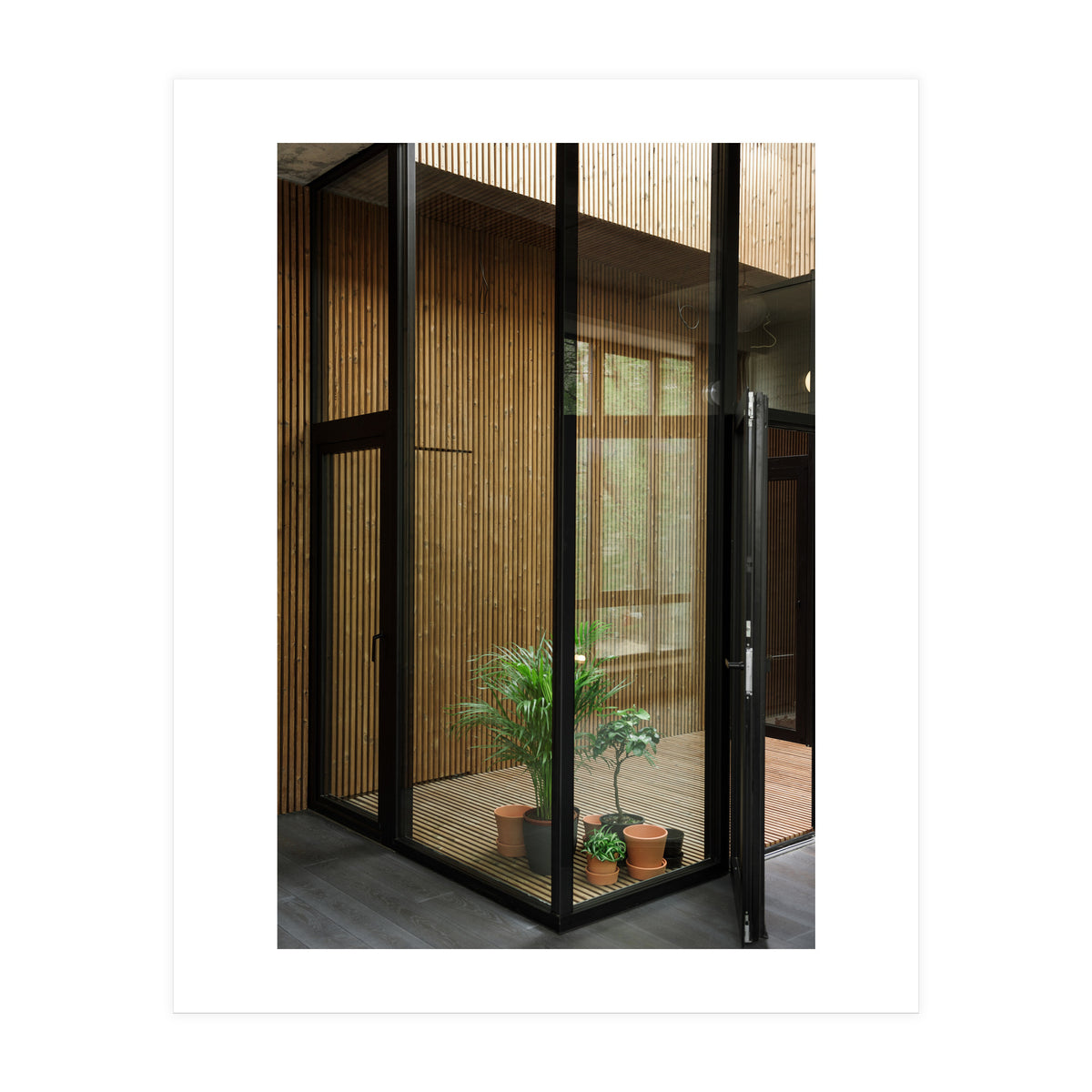 Public Place at my House (Print Only)