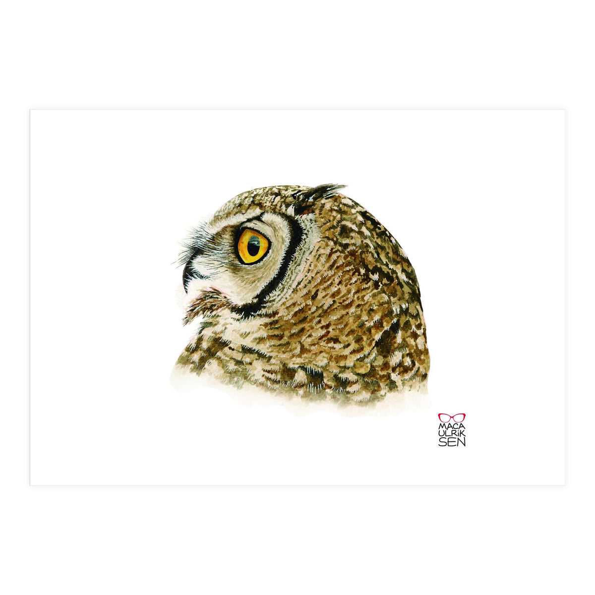 Lesser horned owl  (Print Only)