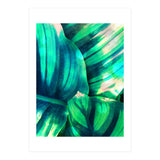Moksha (Print Only) thumbnail