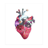 Superstar Heart (Print Only) thumbnail