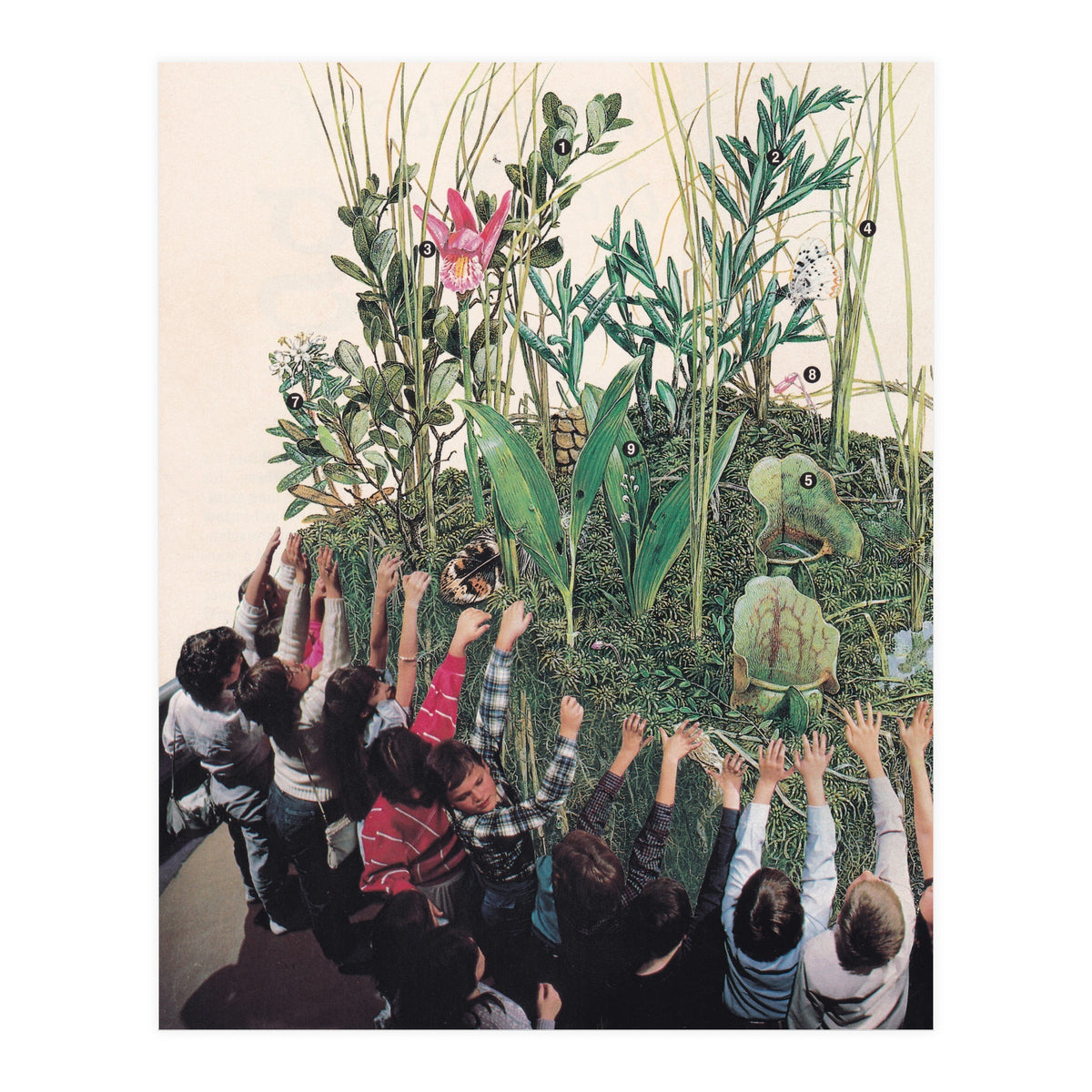 Grow Up (Print Only)