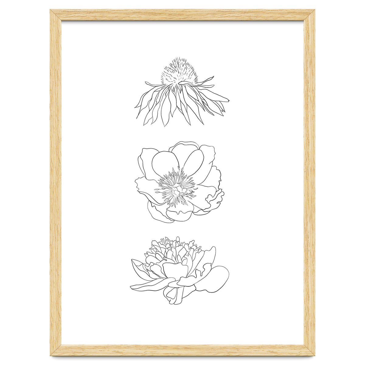 Hand Drawn Flowers