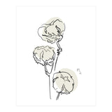 Cotton (Print Only) thumbnail